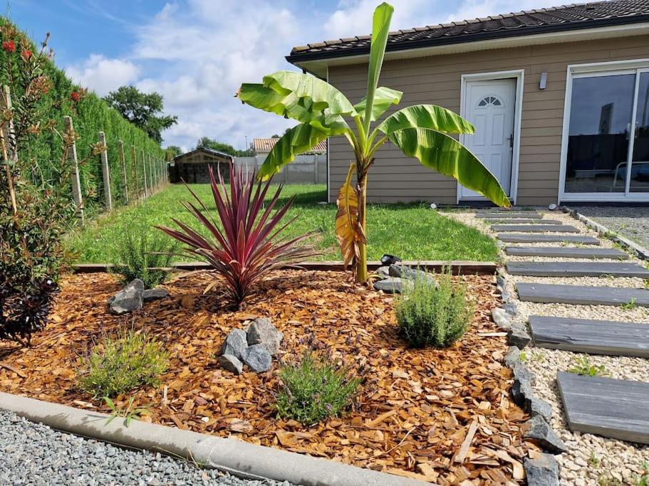 La Villa Des Pins Maison Standing 7 Pers Terre Et Mer Brach Экстерьер фото